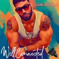 Well Connected - Single - Nahlo da Bank