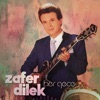 Zafer Dilek