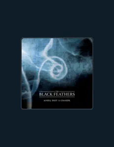 Listen to The Black Feathers, watch music videos, read bio, see tour dates & more!