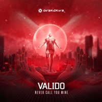 Never Call You Mine - Single - Valido