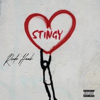 Stingy - Single - Rside Hank