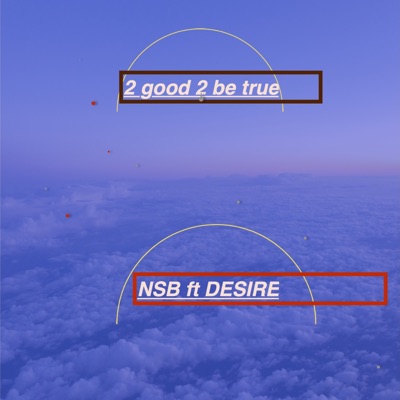 2 good 2 be true - Single