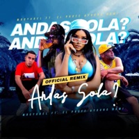 ANDAS SOLA ? (feat. EL PROFE & YOUNG NOMI) [REMIX] - Single - Mr Gyabel