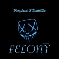Felony (feat. Baddilika) - Single - Rickybeats