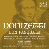 DONIZETTI: DON PASQUALE artwork