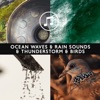 Ocean Waves & Rain Sounds & Thunderstorm & Birds & Forest & Stream (Morning Nature Ringtones)