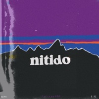 NITIDO (feat. Fizz) - Single - YNFA