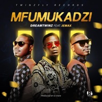 Mfumukadzi (feat. Jemax) - Single - Dreamtwinz