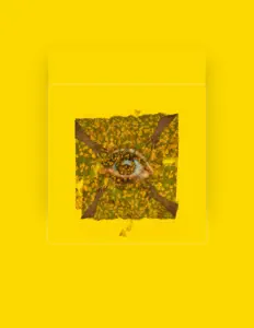 Ascolta Frankie Vandistine, guarda video musicali, leggi la biografia, vedi le date del tour & altro!