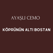 Köprünün Altı Bostan song art