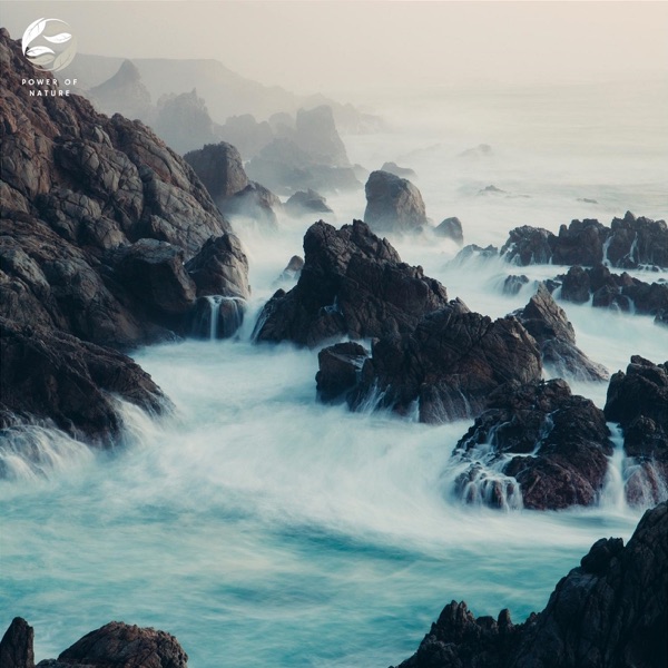 Atlantic Coast