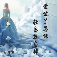 爱过了怎能轻易就忘掉 - Single - 付海燕