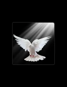 Listen to Brooklyn O'Brien, watch music videos, read bio, see tour dates & more!