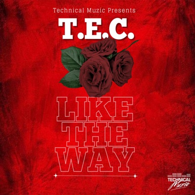 Like the Way - Single