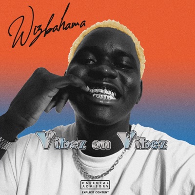 Vibez on Vibez - Single