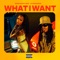 Enchanting Ft. Jacquees - What I Want