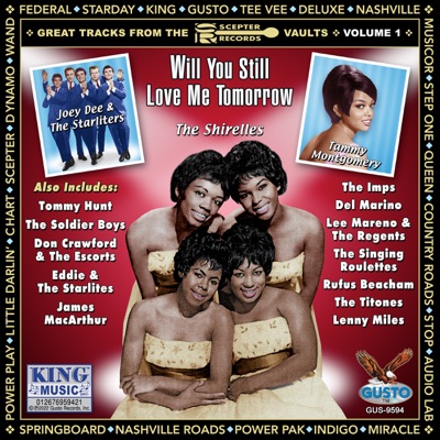 Will You Still Love Me Tomorrow: Great Tracks From the Scepter Records Vaults - Volume 1 (Original Scepter Records Recordings)