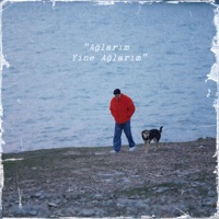 Ağlarım Yine Ağlarım - Single - Sezer Sarıgöz