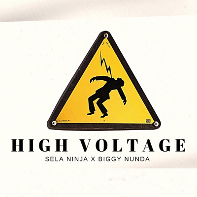 High Voltage (feat. Biggy Nunda) - Single