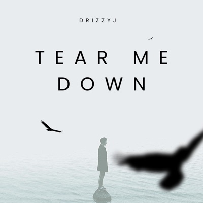 Tear Me Down - Single