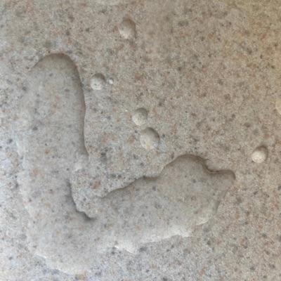 Lies (feat. Soundsbymoon) - Single