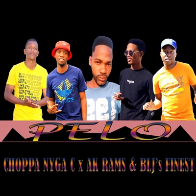 Pelo (feat. AK Rams & BLJ's Finest) - Single