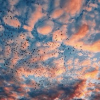 Hoy - Single - Yoni La Voz