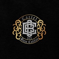 FALSO AMOR - Single - Cartel Baja Califas 323