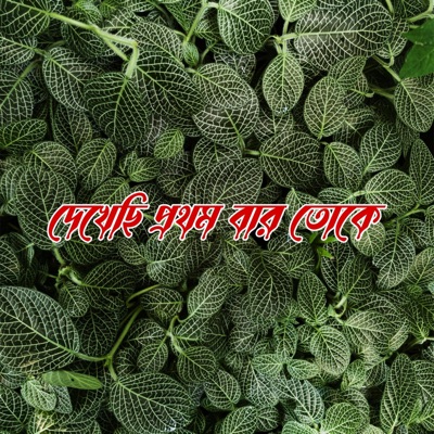 Losser - দেখেছি প্রথমবার তোকে
