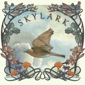 Open Road - Skylark (feat. Lucia Comnes)