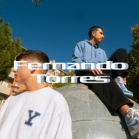 Fernando Torres - Single - Halkus & NIFTY 310