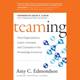 Teaming : How Organizations Learn, Innovate, and Compete in the Knowledge Economy