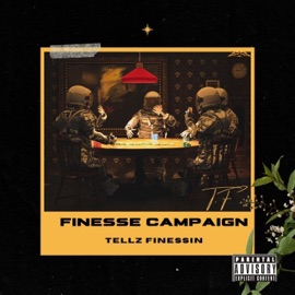 Threw the Storm (feat. BigMookDaGodFatha) Tellz Finessin