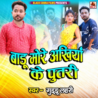 Badu More Ankhiya Ke Putari - Single
