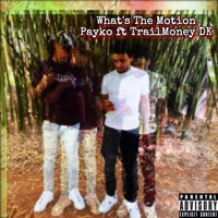 What's the Motion (feat. TrailMoney DK) - Single - Payko