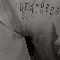 Death Bed - Single - Ko$te