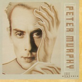 Peter Murphy - Blind Sublime