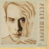 Peter Murphy - Socrates the Python