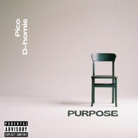 purpose (feat. D-Homie) - Single - Pico