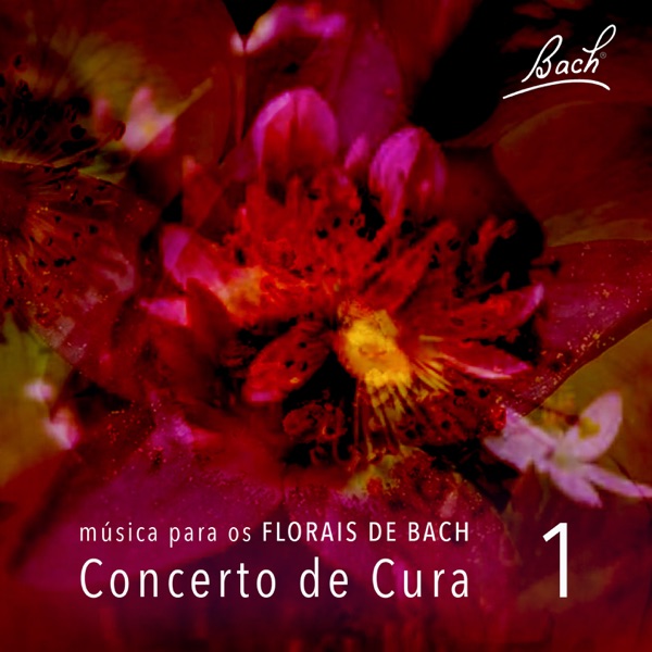 Música para os Florais de Bach, Vol. 1