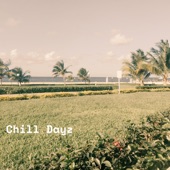 Chill Dayz artwork