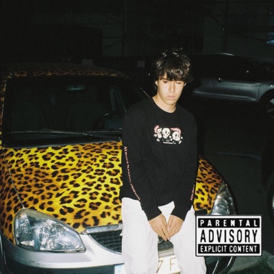 Parkineo - Single