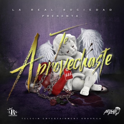 Te Aprovechaste (feat. La RealSociedad & Osha) - Single