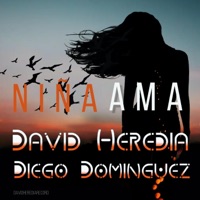 Niña Ama (feat. Diego Dominguez) [fusion Flamenco] - Single - David Heredia