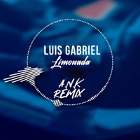 Limonada (A.N.K Remix) - Single - Luis Gabriel