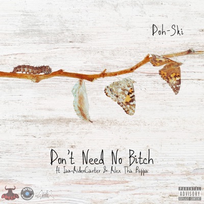 Don't Need No Bitch (feat. IamAidenCarter & Alex Tha Rippa) - Single