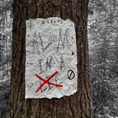 Alone In a Lie - Single