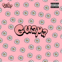 Guapa - Single - Sebs