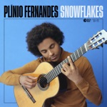 Plínio Fernandes - Snowflakes