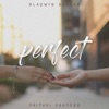 Perfect - Single